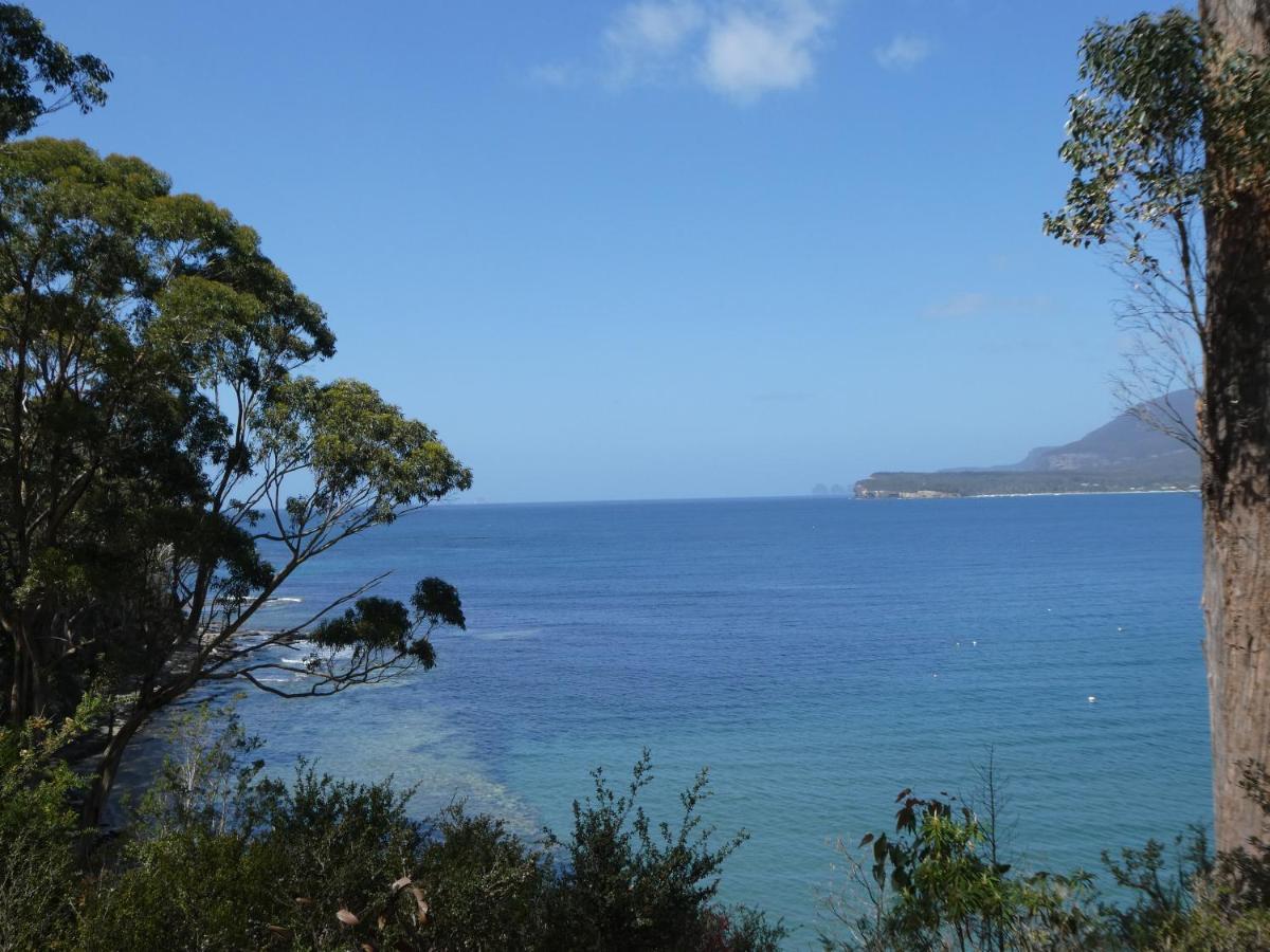 Osprey Lodge & Bungalow Eaglehawk Neck Exterior photo